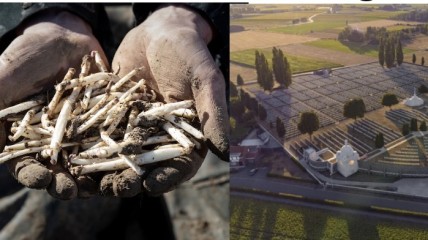 Daguitstap De Westhoek & Ieper